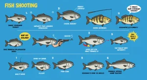 Hướng Dẫn Chơi Bắn Cá – Từ Cơ Bản Đến Nâng Cao – hướng dẫn chơi bắn cá