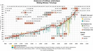 Lô Trượt J88 – Phân Tích & Cách Đánh Hiệu Quả – lô trượt J88